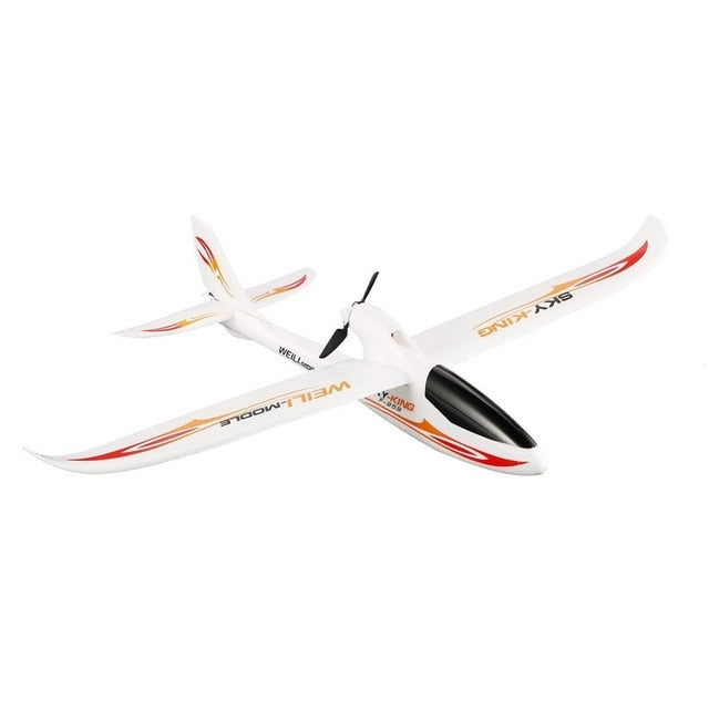 WLtoys F959 RC Airplane Fixed Wing 2.4G Radio Control